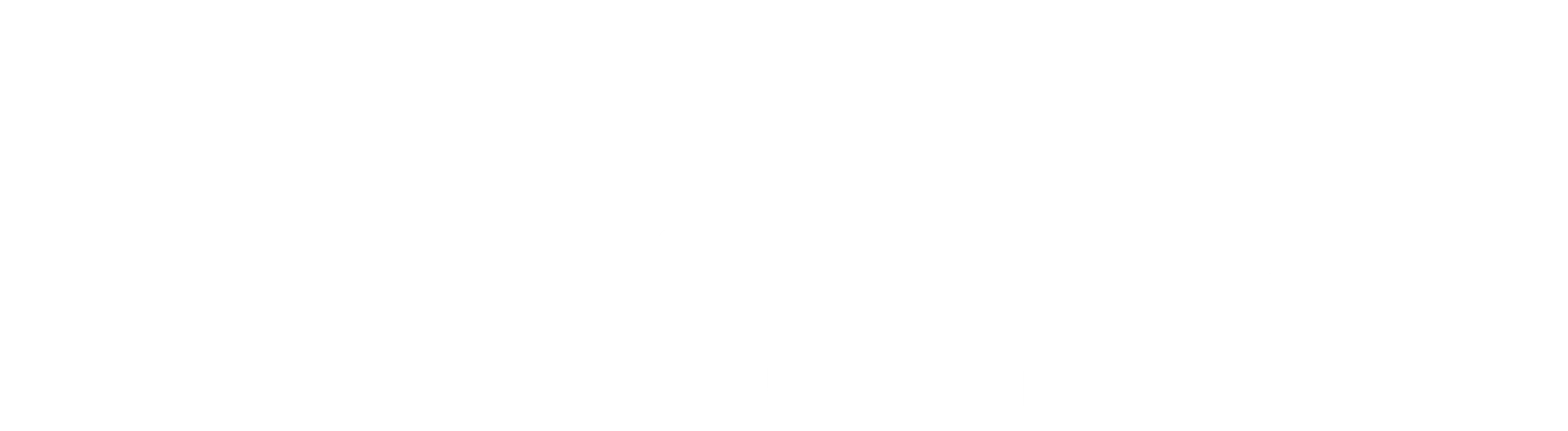 LuckyLitze Zaunsystem-Logo
