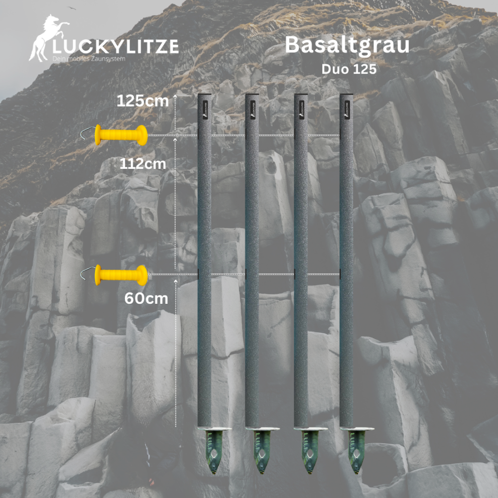 Duo125 - Basis-System mit 2 Litzen