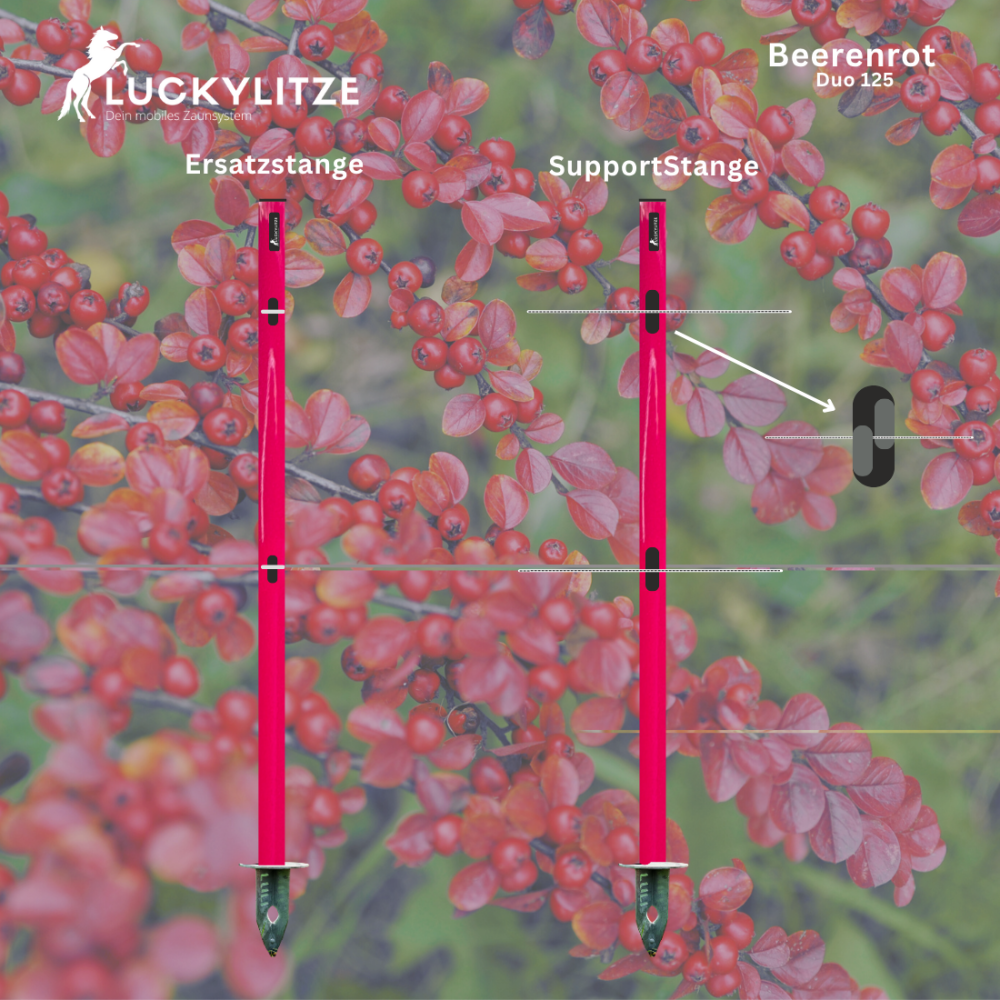 - Kopie - Kopie - Kopie