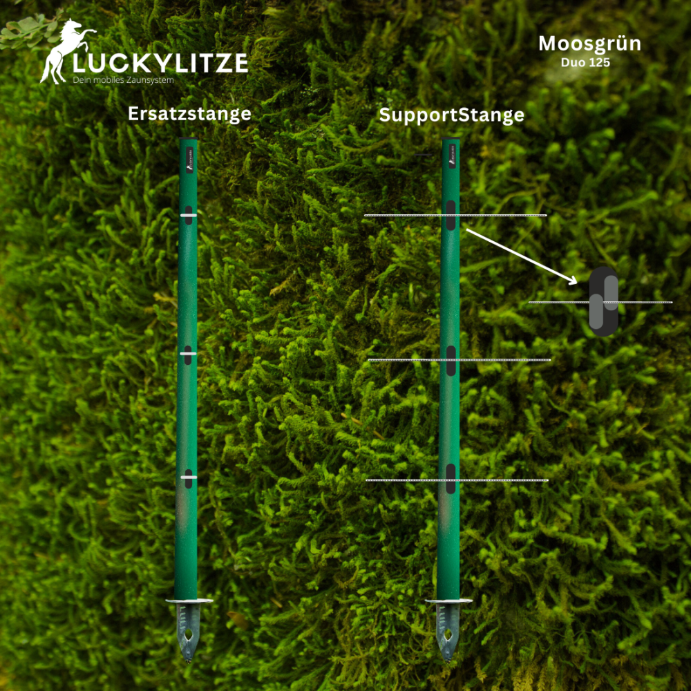 - Kopie - Kopie - Kopie - Kopie