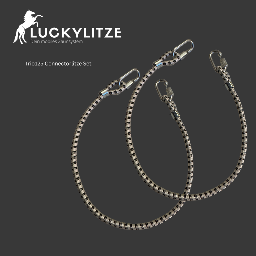 ConnectorLitze Trio125