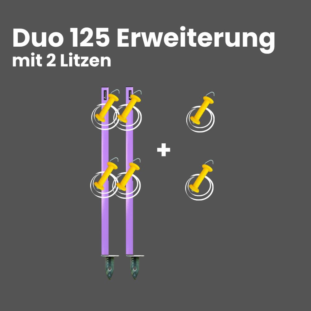 Duo125 - Erweiterung mit 2 Litzen