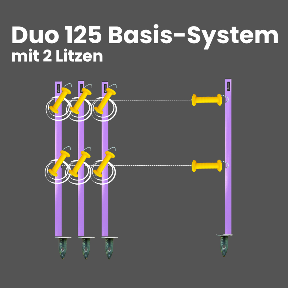 Duo125 - Basis-System mit 2 Litzen