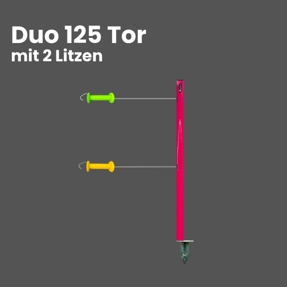 Duo125 - Torfunktion 2 Litzen