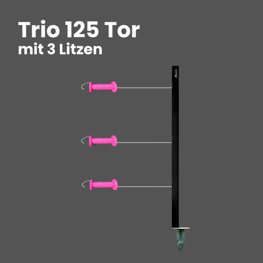 Trio125 - Torfunktion 3 Litzen