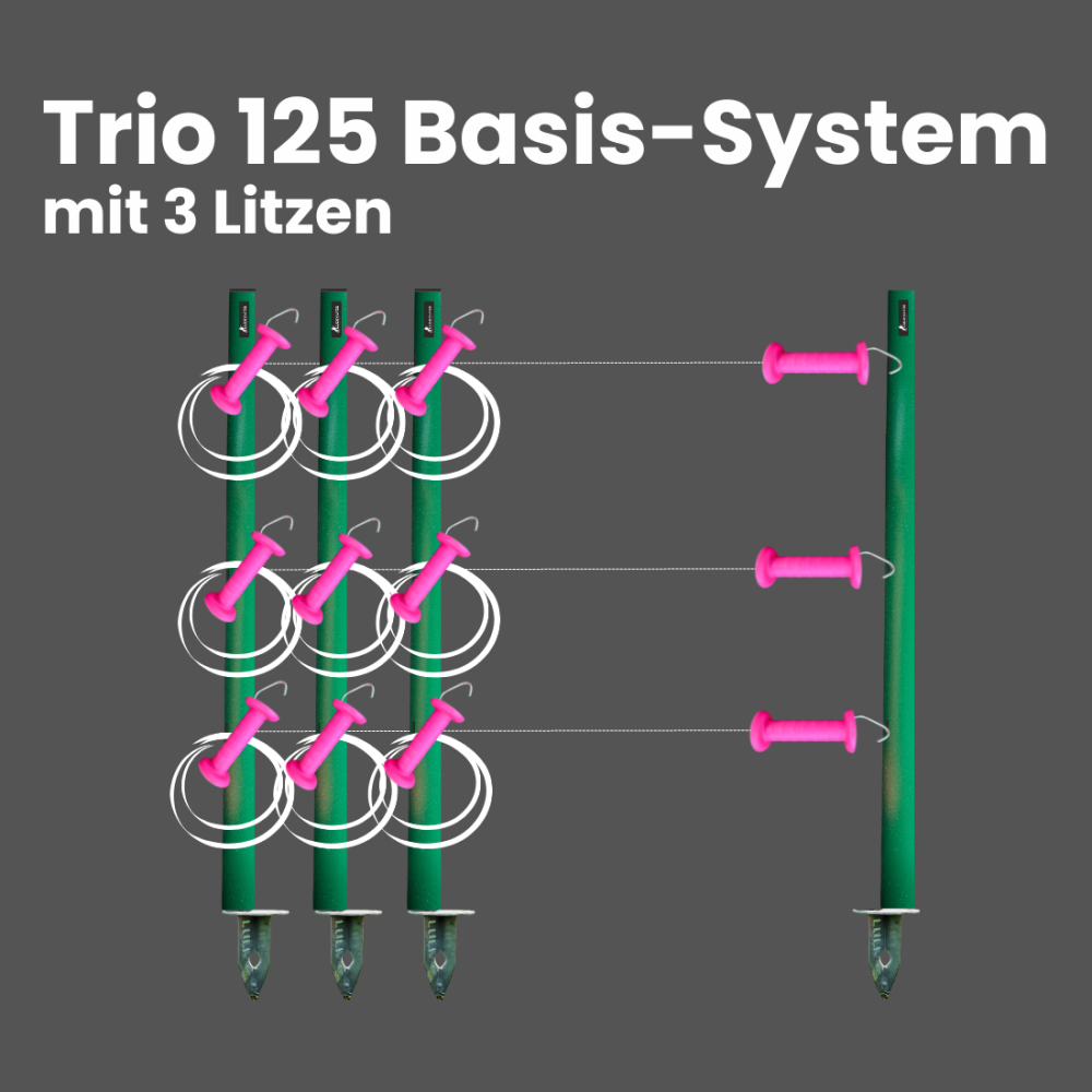 Trio125 - Basis-System mit 3 Litzen