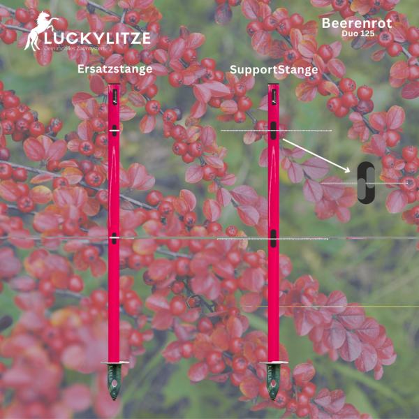 - Kopie - Kopie - Kopie