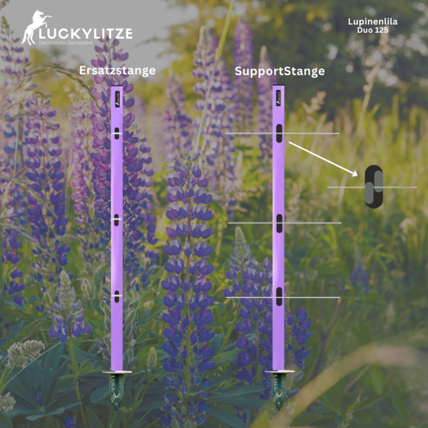 - Kopie - Kopie - Kopie - Kopie