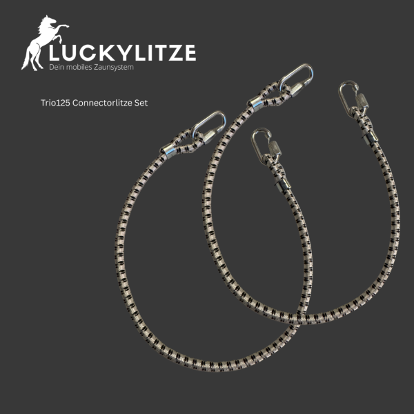 ConnectorLitze Trio125